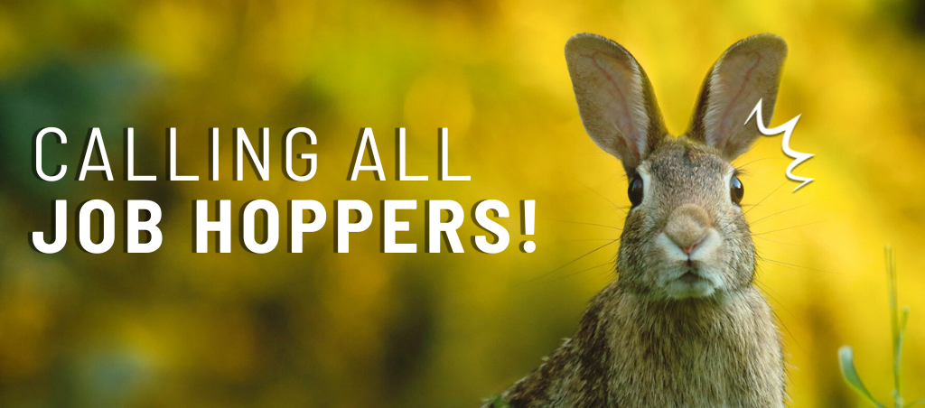 Work Hopper Escape the Job Hopper Reputation: What Recruiters Want to See